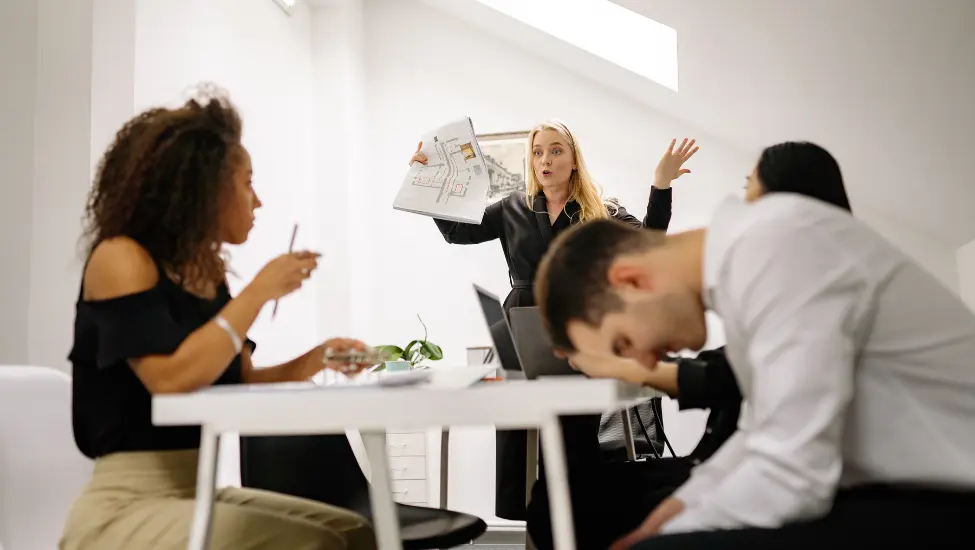 Web designer explaining the contents of a document while a developer sits banging his head on the table in frustration or anger
