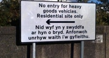 automatic translation