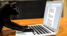 Creating Joomla content
