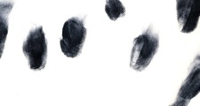 sticky fingers