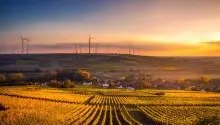 sunset over corn fields