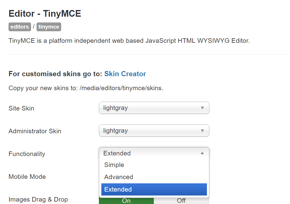 tinymce options